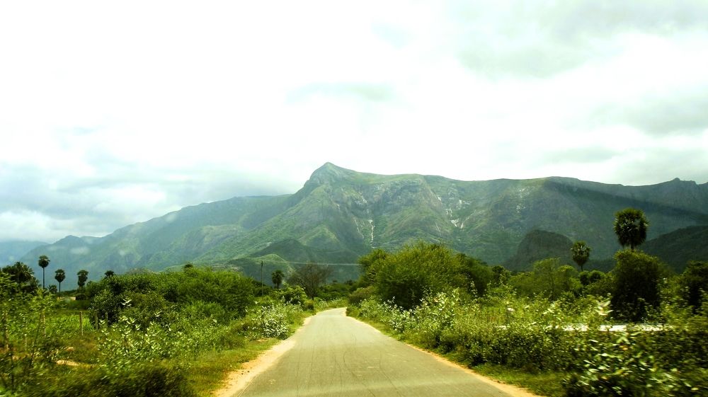 Фотография автора Nadarajan Lakshmanswamy