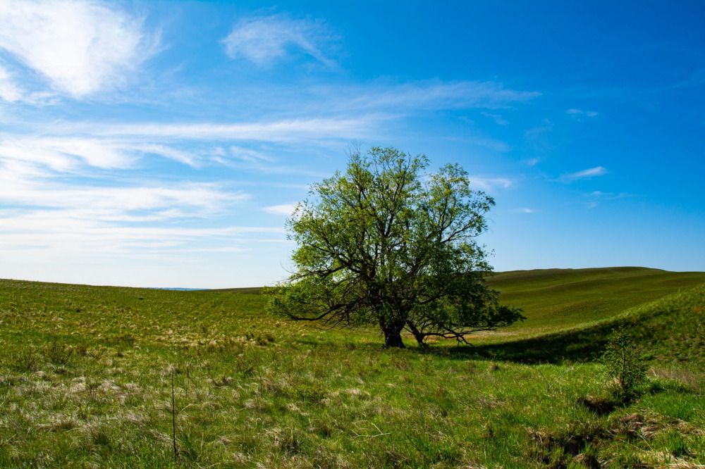 Photograph by Alex Fetisov