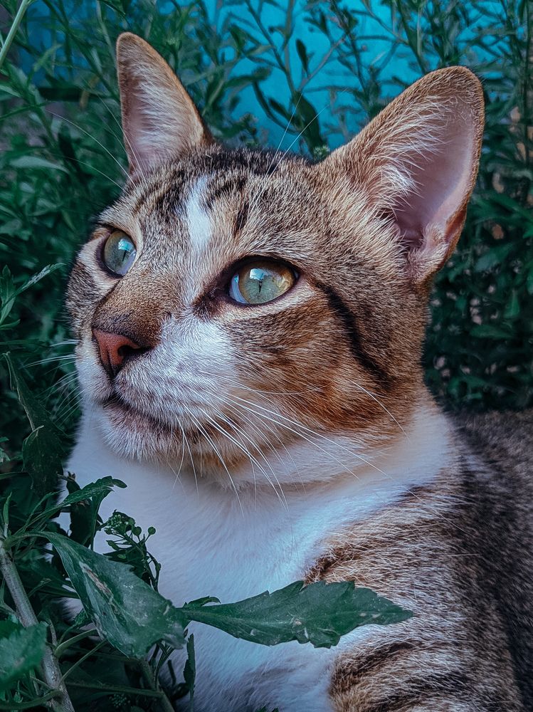 Photograph by Massiel Viguera