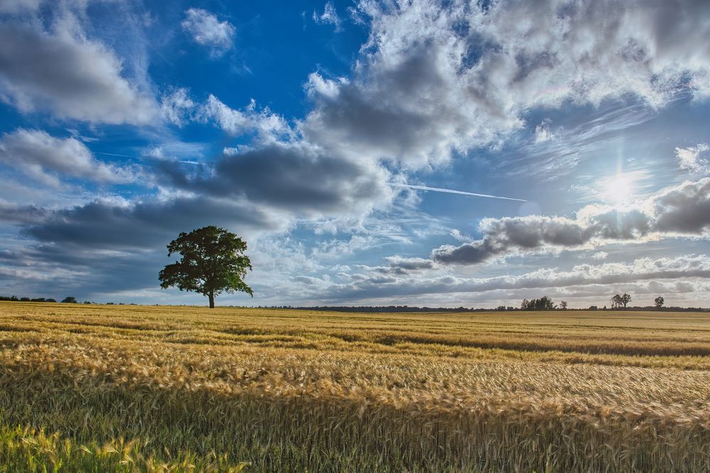 Photograph by Janis Serdienis