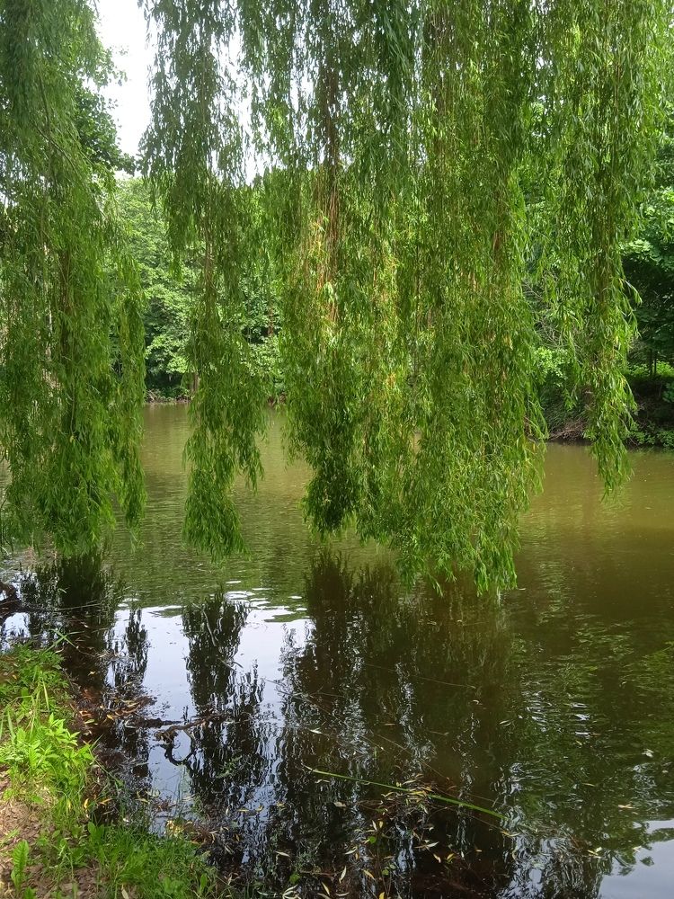 Photograph by Фёдор Викторович