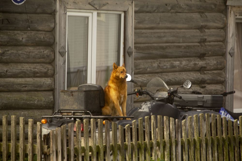 Photograph by Дегтярёв Геннадий Викторович