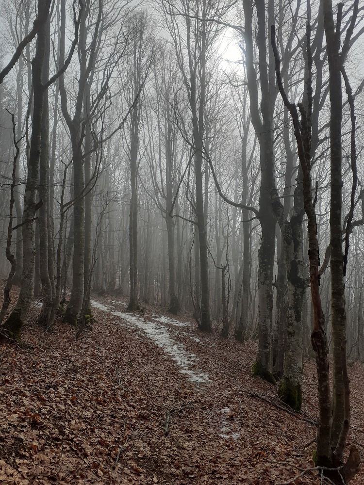 Photograph by Alessia Carta