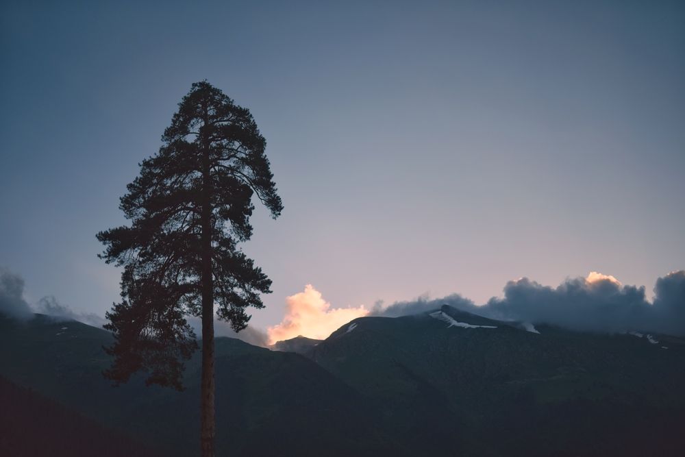 Photograph by Мария Алейникова