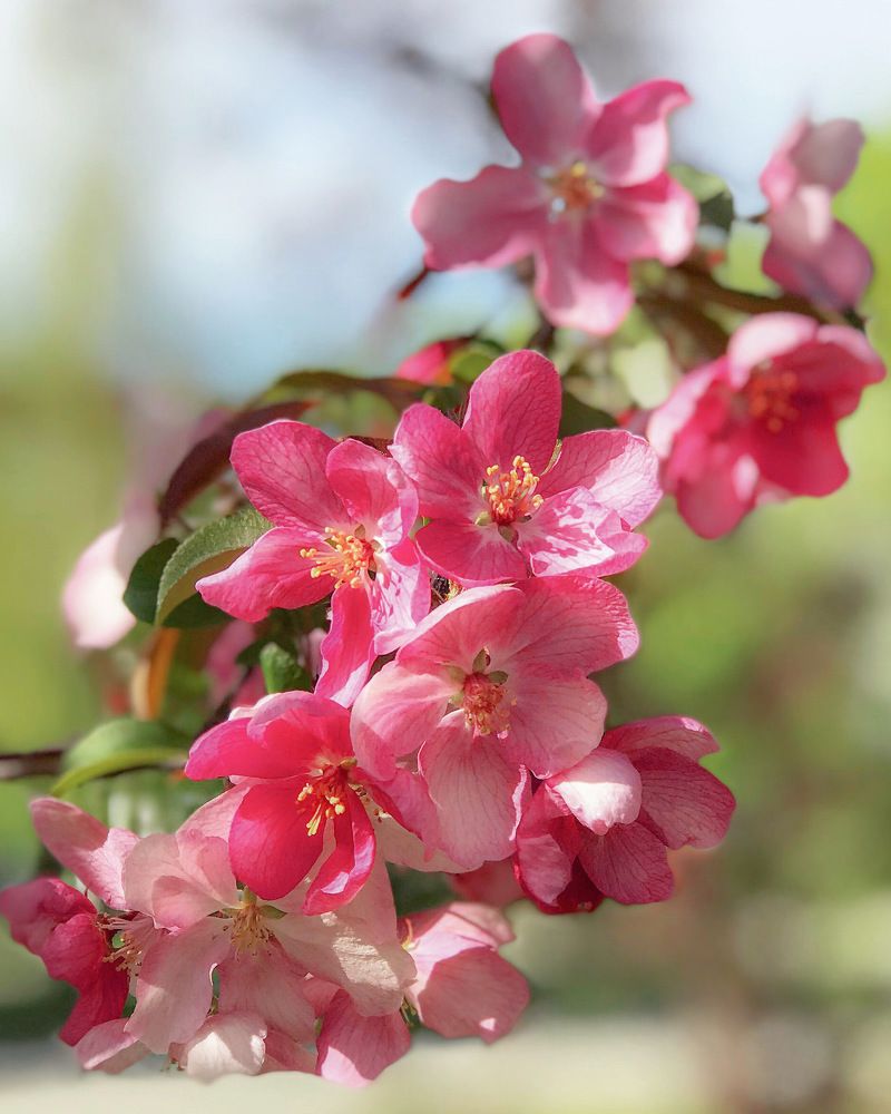 Photograph by Татьяна Волохова