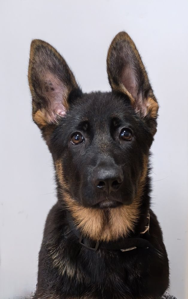 Photograph by Анна Епанчинцева