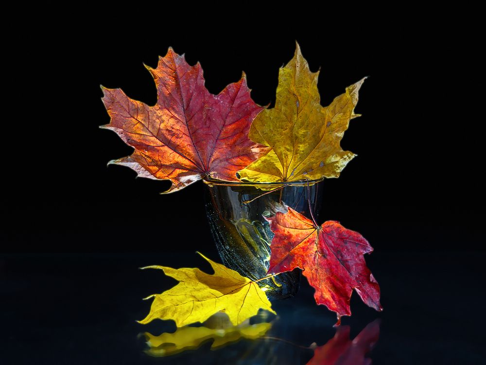 Photograph by Алексей Афонин