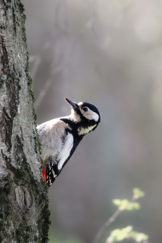 Photograph by Evgenia Korchagova