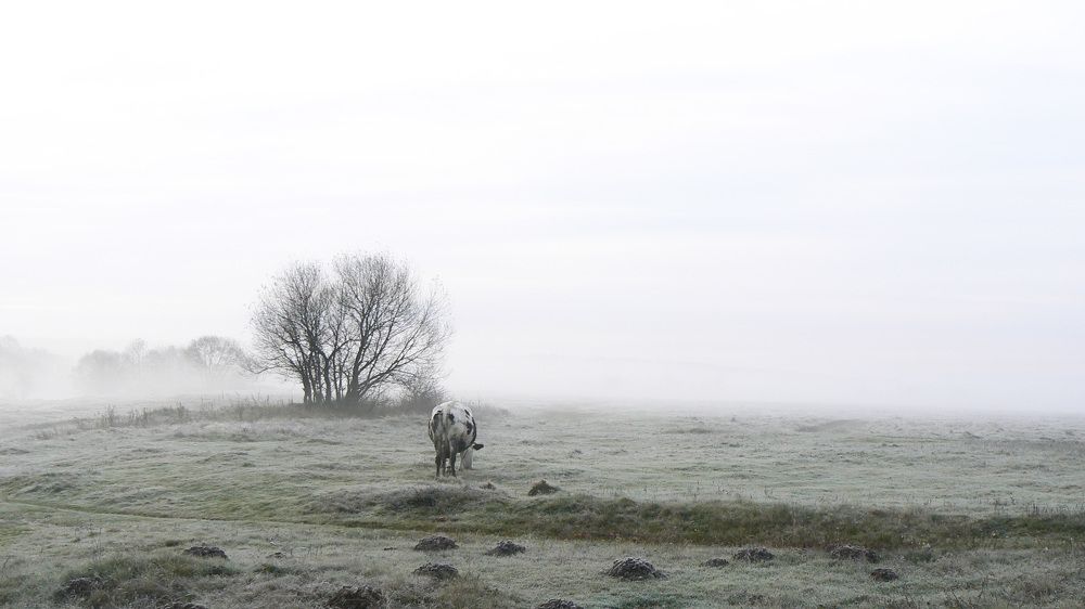 Photograph by Алексей Борисов