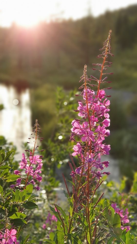 Photograph by Светлана Федотова