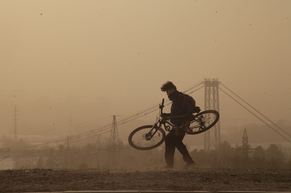 Photograph by Владимир Моисеев