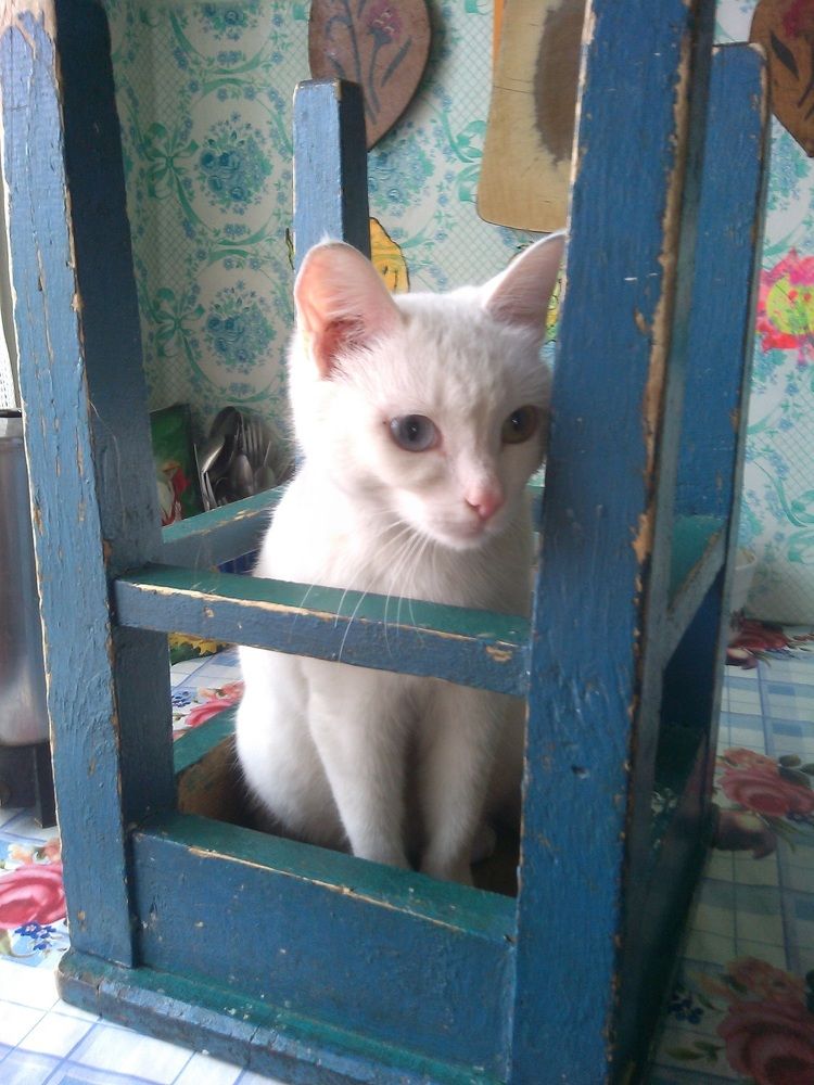 Photograph by Кристина Соловарова