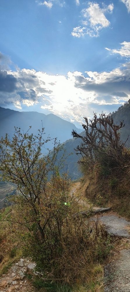Nature - characteristics that makes us human