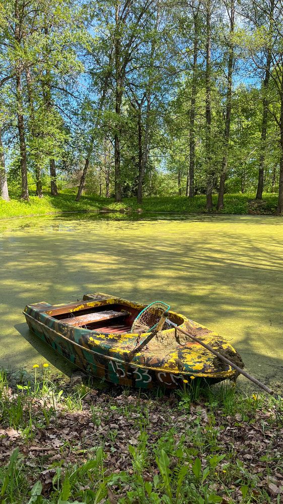 Photograph by Алиса Чугунова