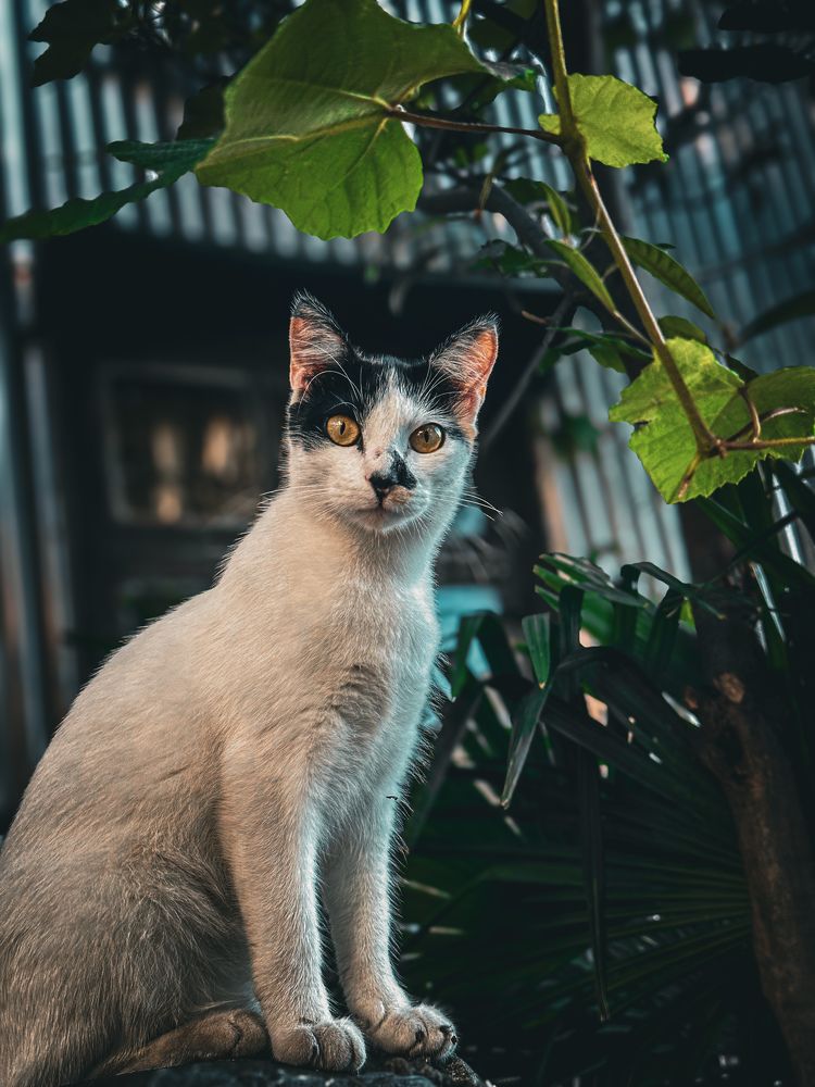 Photograph by Екатерина Нальгиева