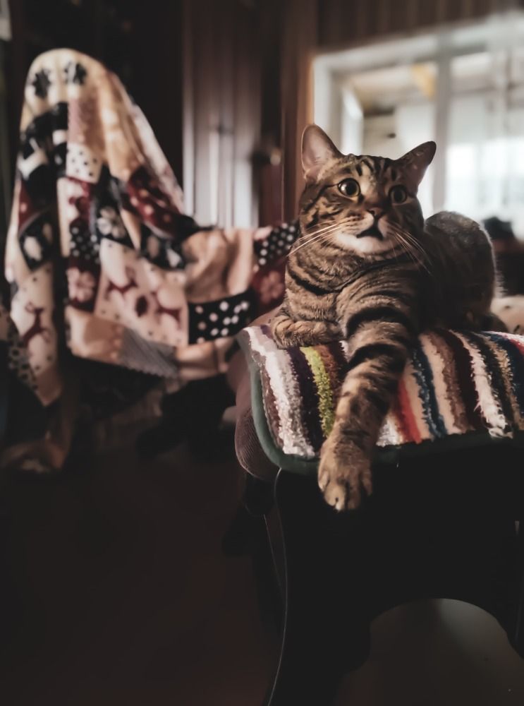 Photograph by Наталья Веряскина