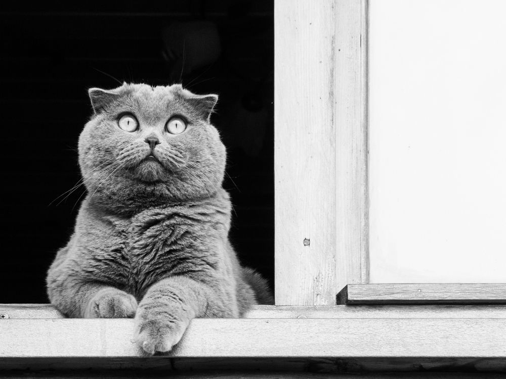 Photograph by Руслан Гончар