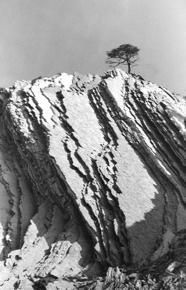 Photograph by Галина Воеводенко