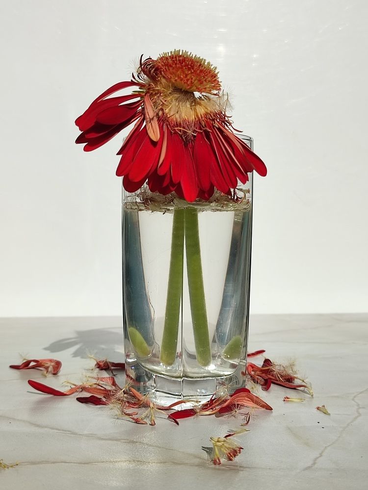 Photograph by Лолита Богачева