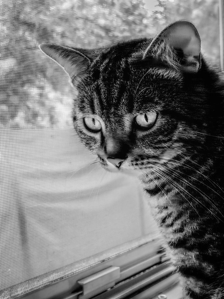 Photograph by Наталья Веряскина