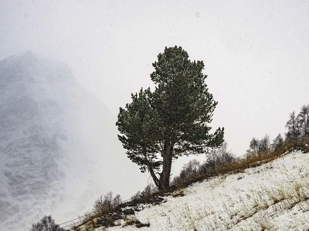 Photograph by Борис