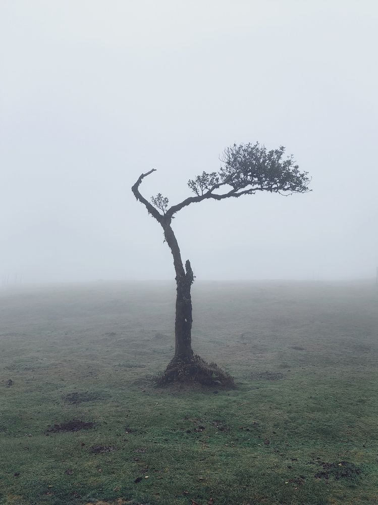 Фотография автора Konstantin Shendel