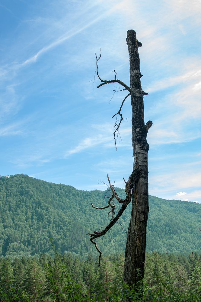 Photograph by Sergey Tyasto