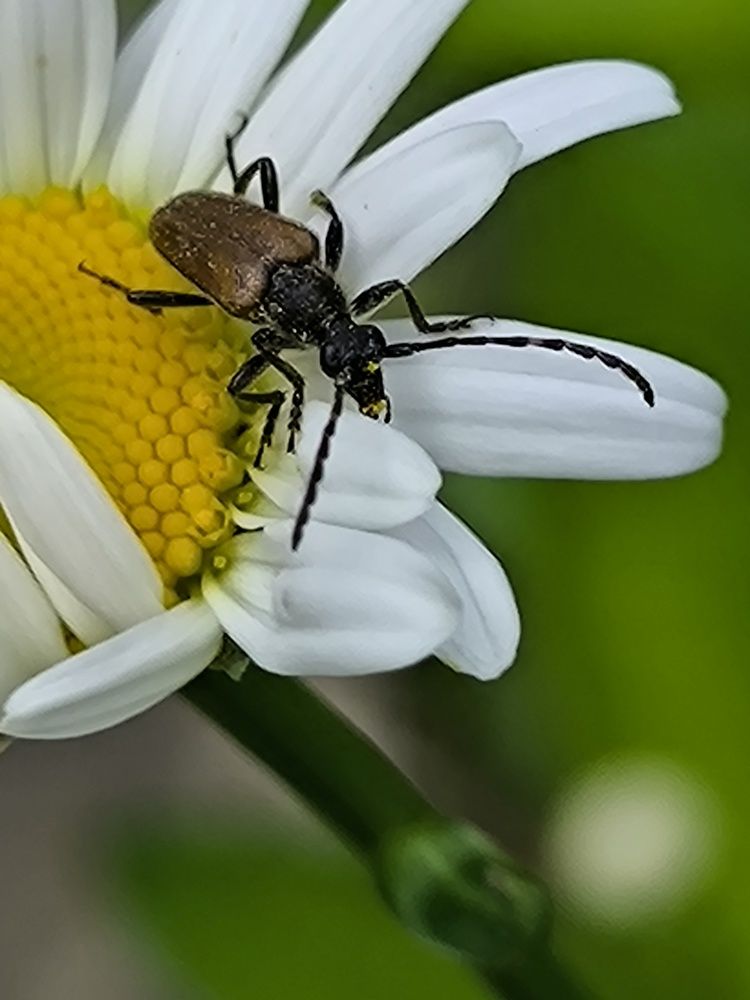 Photograph by Анна Липилина