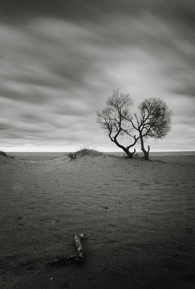 Фотография автора Дмитрий Гирев