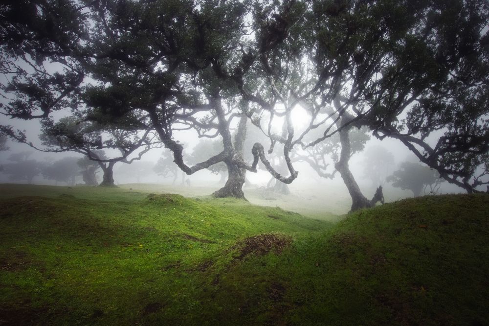 Photograph by Andrea Bartoli