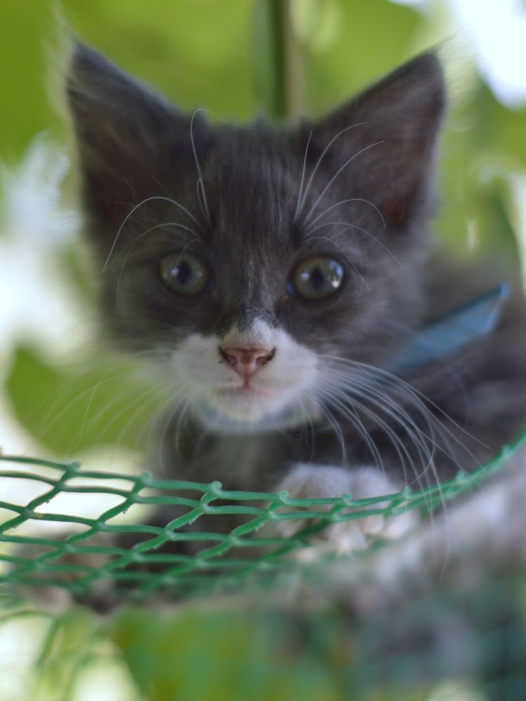 Photograph by Снежана Жвирбля