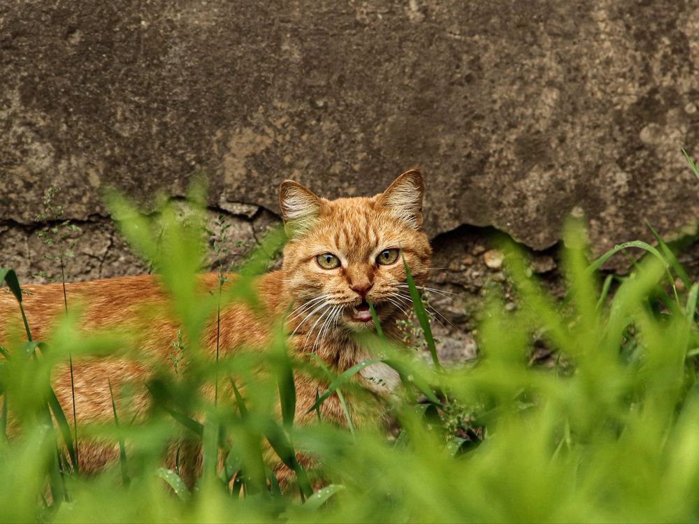 Photograph by Анна Фёдорова