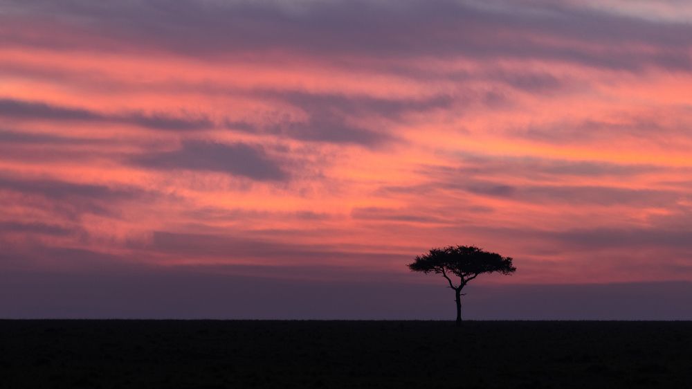 Photograph by Bevzenko Roman