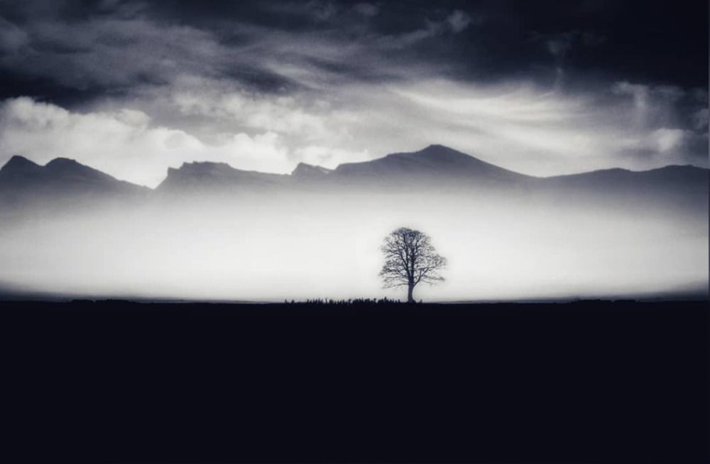 Photograph by Karim Bouchareb