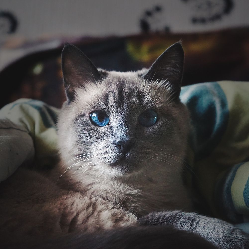 Photograph by Мария Никольская