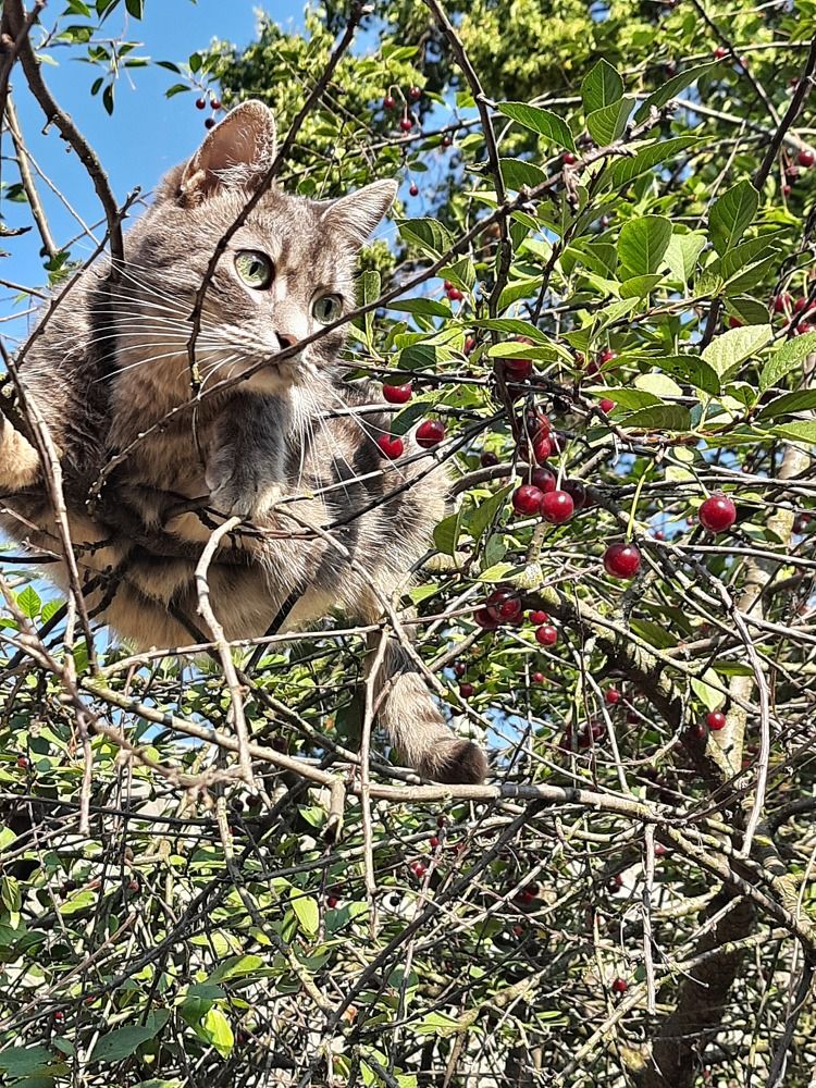 Воздушность бытия