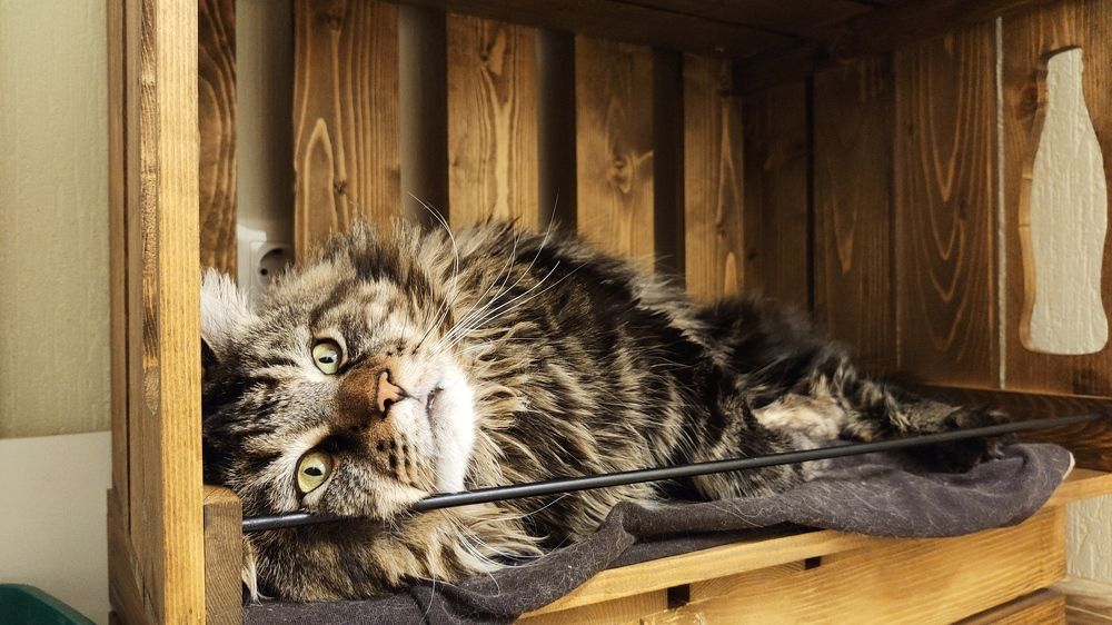 Photograph by Князев Сергей