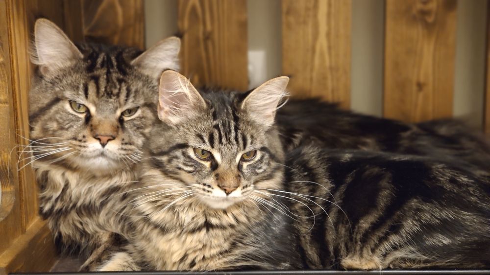 Photograph by Князев Сергей