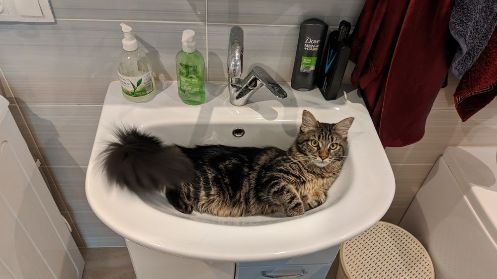 Photograph by Князев Сергей