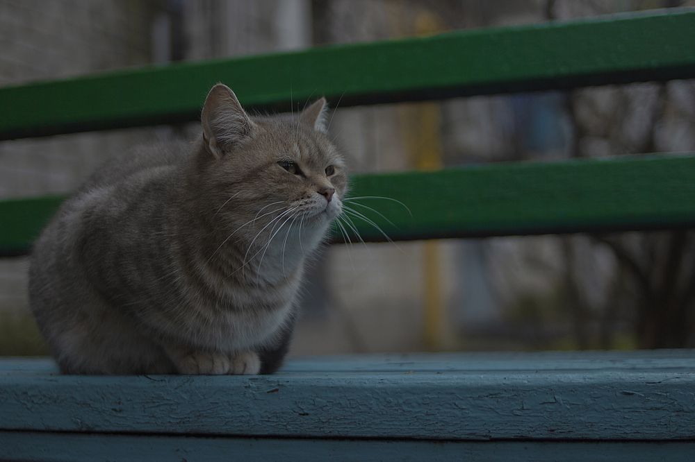 Photograph by Иван Левин