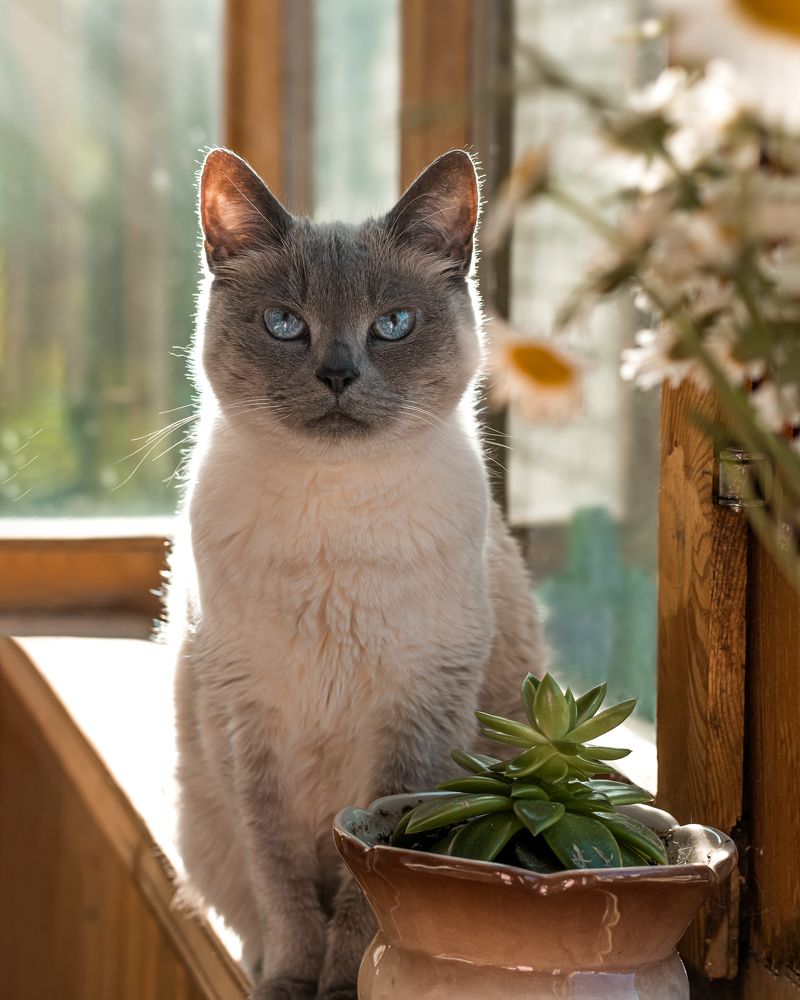 Photograph by Ирина Фуфина