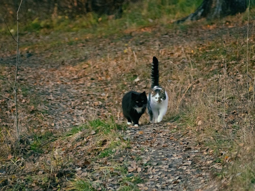 Photograph by Борис Челышев