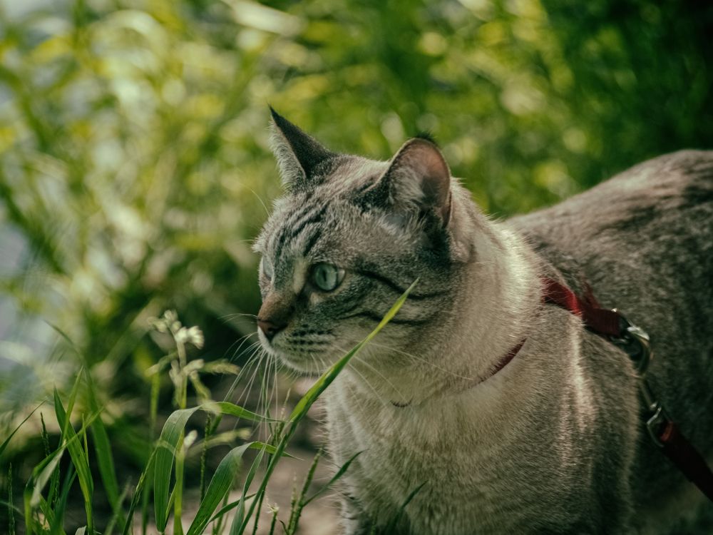 Photograph by Борис Челышев