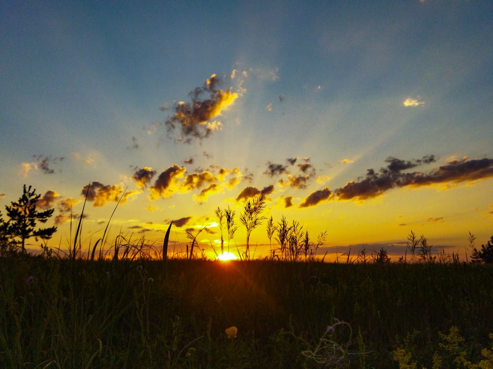 Photograph by Анна Озякова