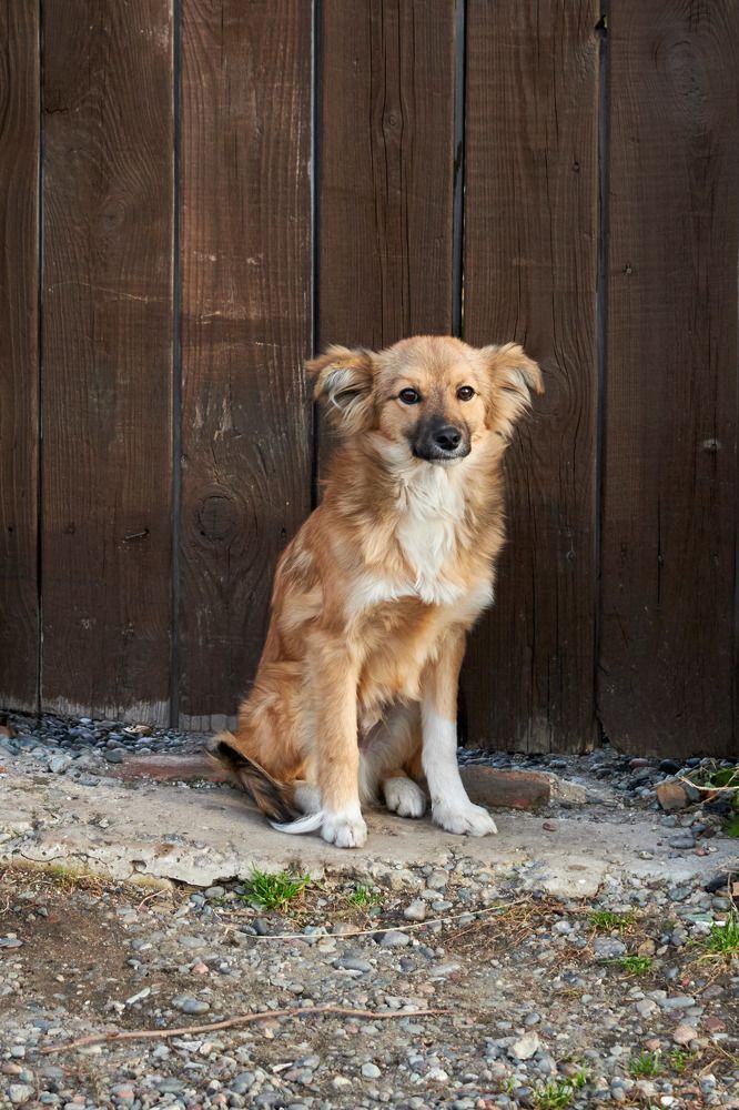 Photograph by Алексей Швецов