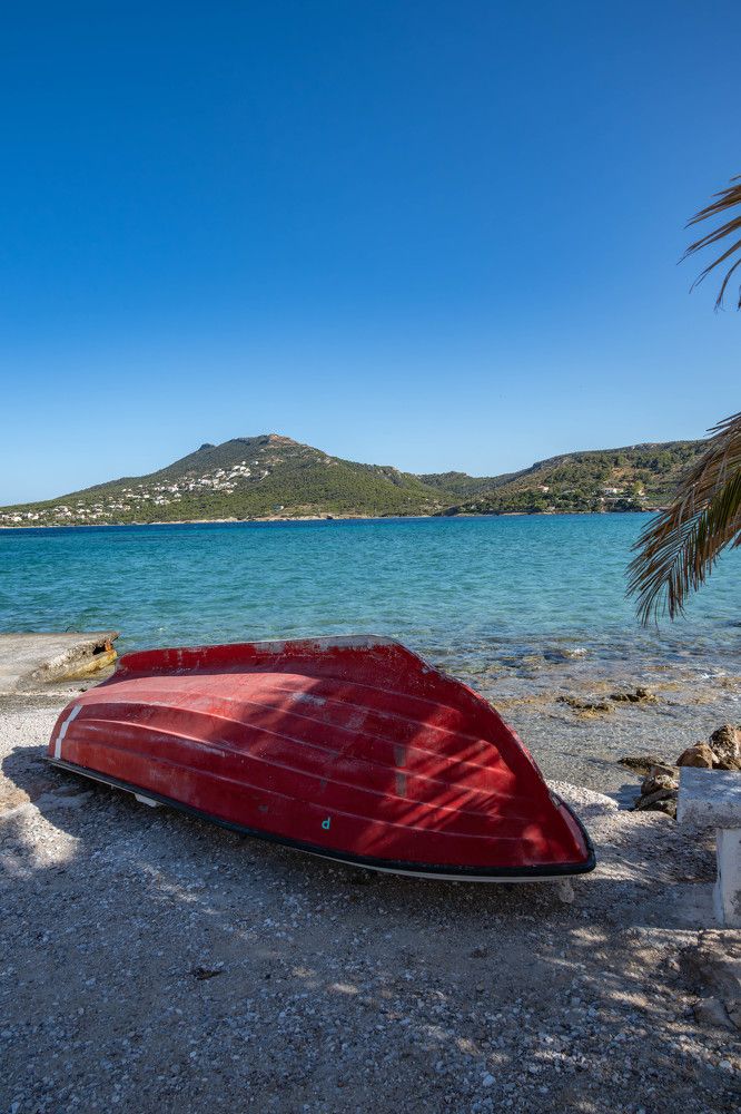 Фотография автора DIMITRIS MPAZIOTOPOULOS