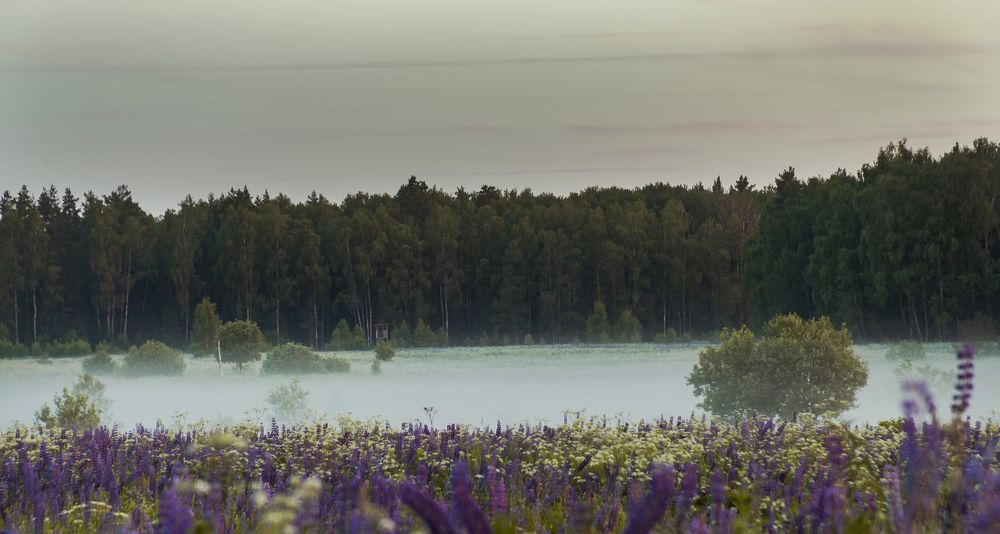 Фотография автора Вадим Лабитов