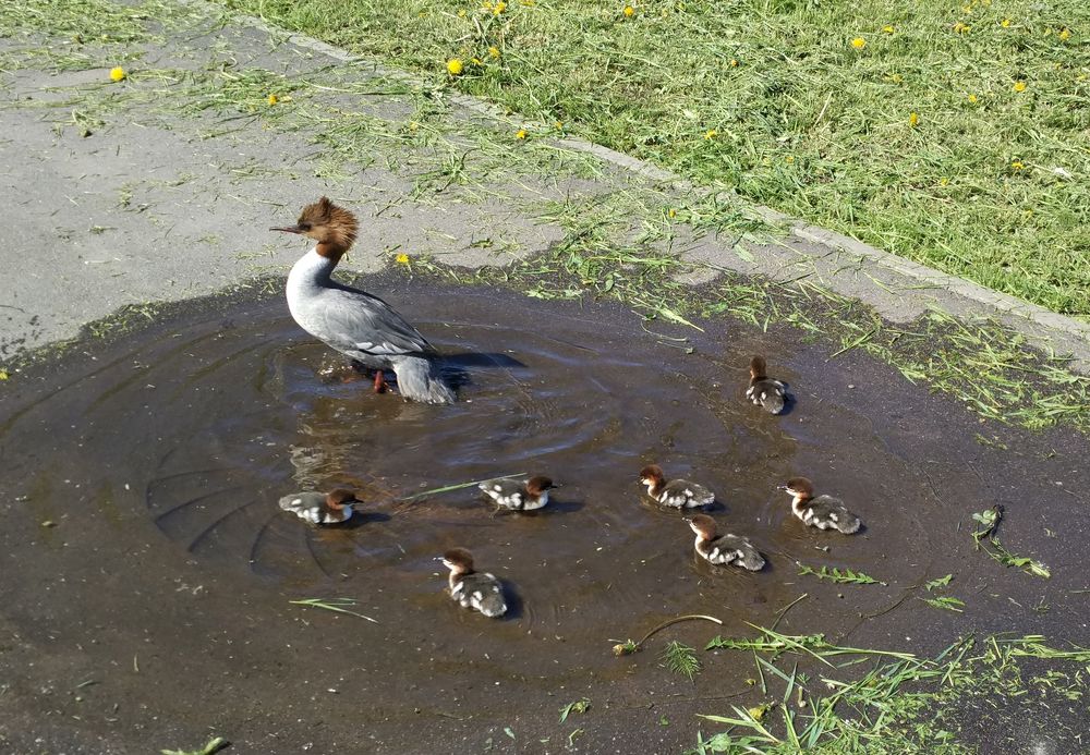 Photograph by Ирина Арканова