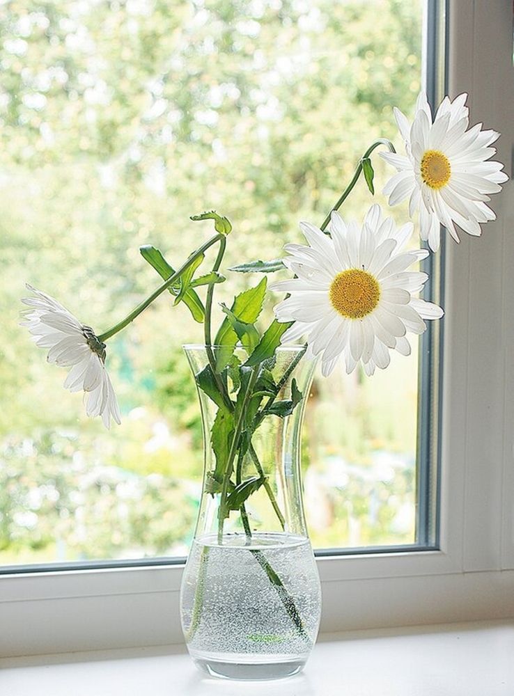 Photograph by Леонид