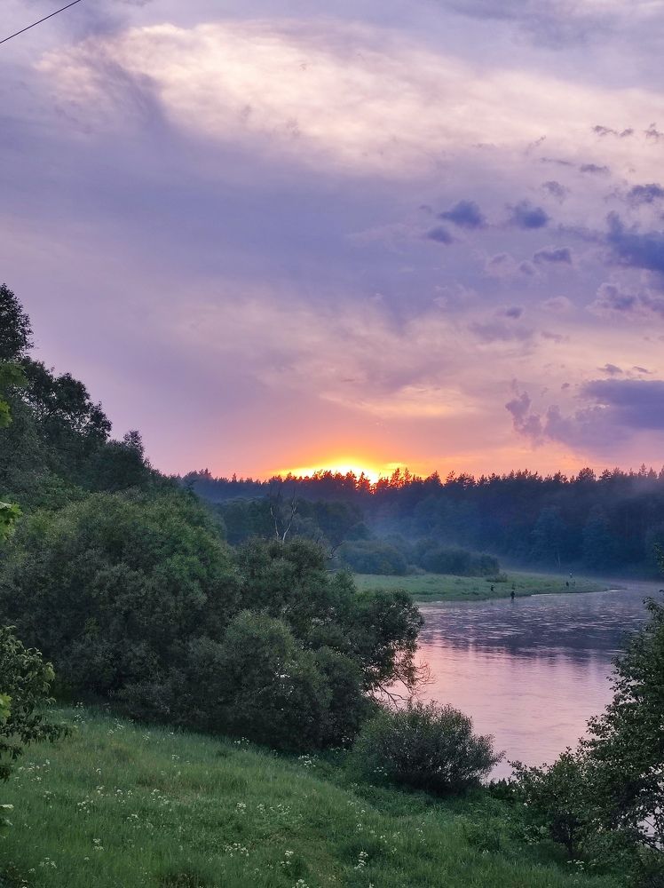 Фотография автора Elena